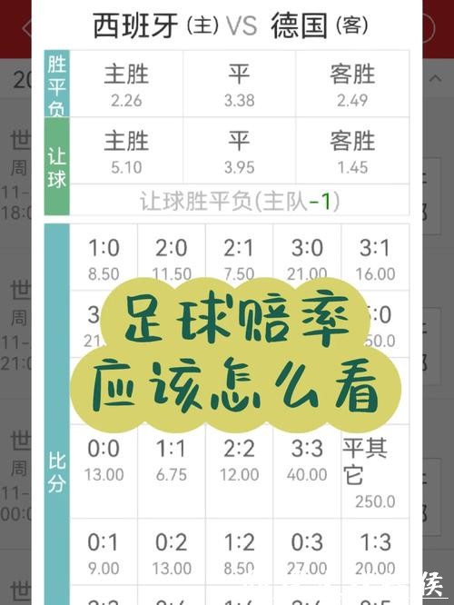 世界杯投注入口稳定性评估与攻略分享